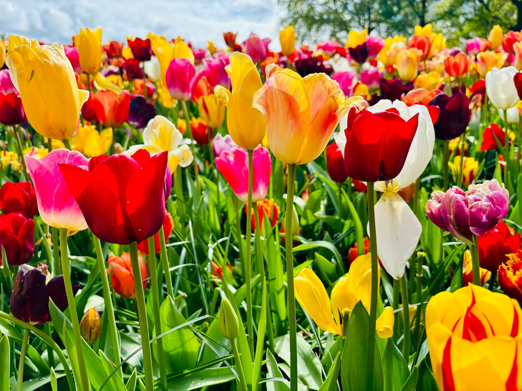 Generieke afbeelding voor image content